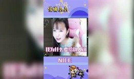 传情小小最新爆料,明星幕后故事大曝光！