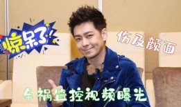 林志颖爆料视频最新,揭秘娱乐圈不为人知的真相