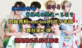 韩娱圈内真实爆料straykids,StrayKids背后的真实故事与幕后真相