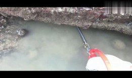 赶海爆料视频,揭秘海洋宝藏的神秘之旅