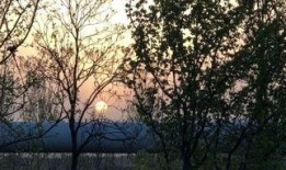 如此芬芳在线观看,探索“如此芬芳”的在线魅力之旅