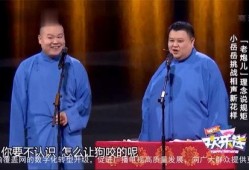 小岳岳爆料相声大全视频,爆笑大全视频幕后故事