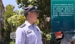 郏县辅警最新爆料信息,揭秘背后真相与内幕