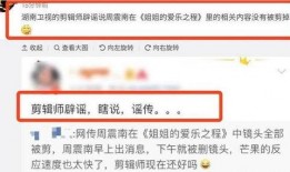 个人新闻爆料怎么做的,揭秘个人新闻爆料背后的真相与技巧