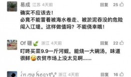 今日经典爆料新闻视频下载,揭秘热门视频背后的惊人真相