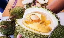 泰国最新榴莲爆料,揭秘最新品种与市场趋势