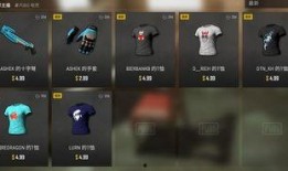 pubg最新的皮肤爆料,PUBG最新爆料带你领略游戏魅力