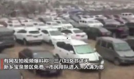 河南车友爆料视频下载安装,揭秘河南交通新动态