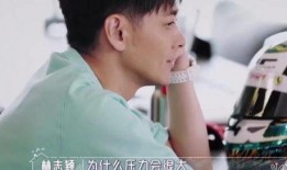 林志颖爆料视频最新,揭秘娱乐圈不为人知的真相