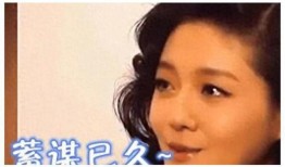 小s爆料娱乐事件,娱乐圈幕后真相大揭秘