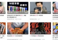 爆料打假网红视频下载,揭秘幕后真相，揭秘网红视频下载骗局