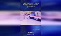 当地人的爆料视频大全,爆料视频大全背后的真实故事
