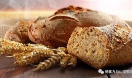 全麦面包爆料视频播放下载,播放下载量惊人揭秘