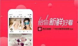 今日西瓜爆料,揭秘娱乐圈最新热点事件